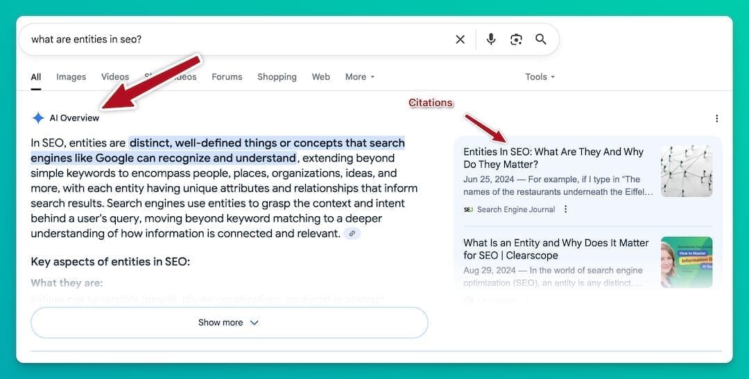 Overview and citation example from SERP, demonstrating how understanding entities in SEO influences modern search and AI-generated summaries.
